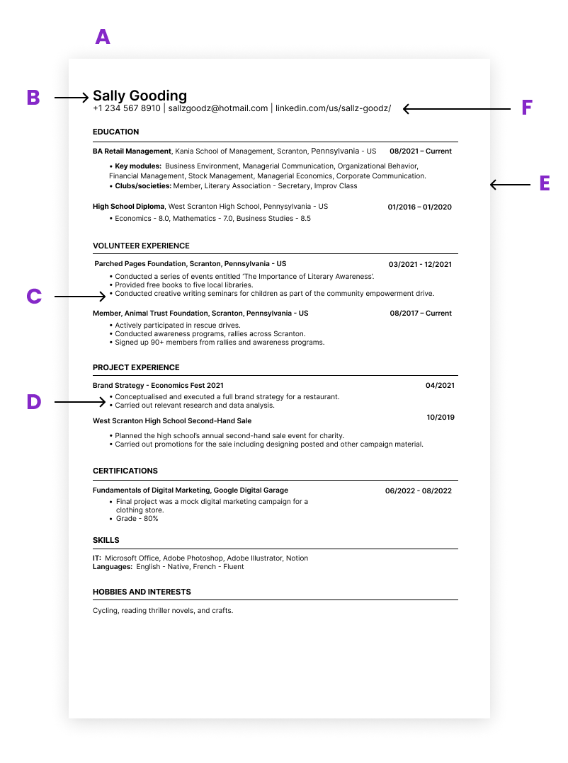 Internship resume template basics